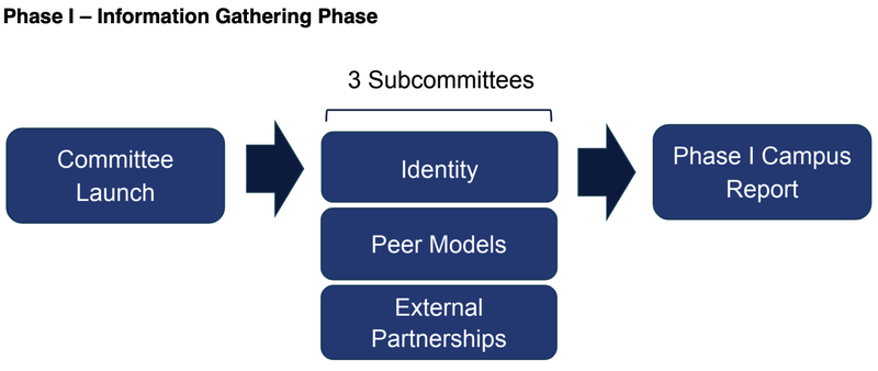 Initiatives - Phase I - See outline in the caption