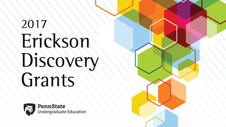 2017 Erickson Discovery Grants