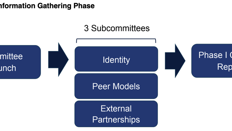 Initiatives - Phase I - See outline in the caption