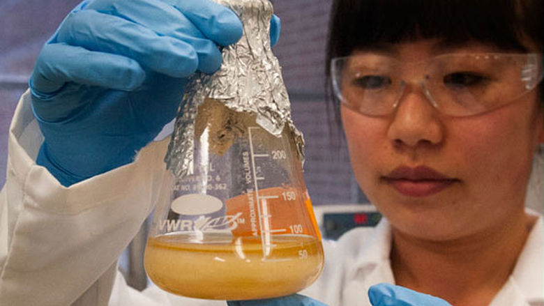 Graduate student Lin Fang in lab clothing observing a flask